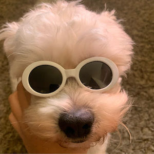 Meet your Posher, Alaina